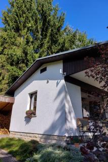 Holiday Home Am Wald gelegenes Ferienhaus Wolf mit Kamin by Interhome - 5