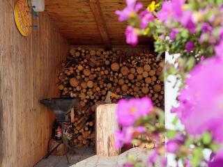 Holiday Home Am Wald gelegenes Ferienhaus Wolf mit Kamin by Interhome - 3