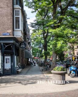 The Valerius Amsterdam - Luxurious Residence in Museum District - Amsterdam - 9