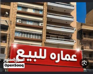 شقه مفروشه للايجار في الاقصر - 0