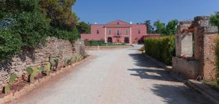 Villa ArboreA - 8