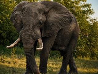 Mazuri Shamba Lodge - 4