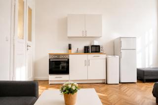 Joyful 4BR Apt @ superb location near AKH Hospital - Wien - 7