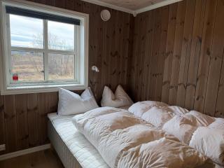 Modern Mountain Escape - 1