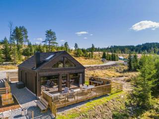 Villa Hygge · Sauna · Hjemmekino · 30 min OSL - 8