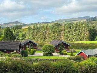 Wellsfield Farm Holiday Lodges - 4