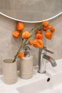 Scheffel Courtyard Residences Grand Studio Combo - 4