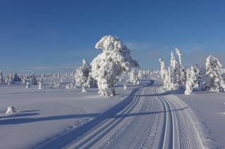 Reven · Natur & Ski · 3 soverom · 60 min OSL - 9