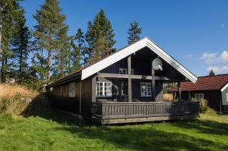 Reven · Natur & Ski · 3 soverom · 60 min OSL - 5