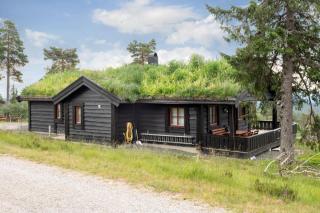 Hønsehauken · Badstu, Natur & Ski · 60 min OSL - 0