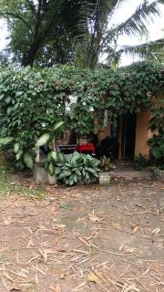 Tranquillo - 4