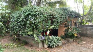 Tranquillo - 1