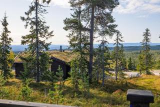Stæren · Natur, Bål & Ski · Budor · 60 min OSL - 6