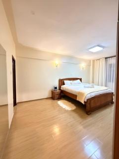 Modern 3 BRM apt near yaya centre - 0