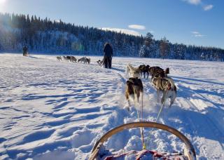 Grana · Bærekraftig · Natur & Ski · 60 min OSL - 2