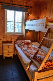 Koiedalen & Ski · 2 sov · Elbillader · 60 min OSL - 2