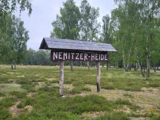 Jagdhaus an der Nemitzer Heide - 2