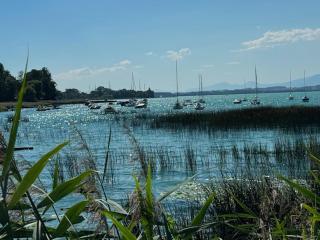 inHome Vista Murten - 5