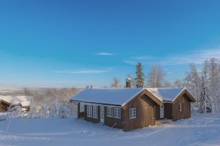 Bergestua - 4 bedroom cabin - 9