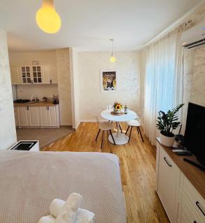 Tiffany apartment - Podgorica - 8