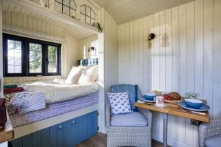 Cosy Conkers - 4