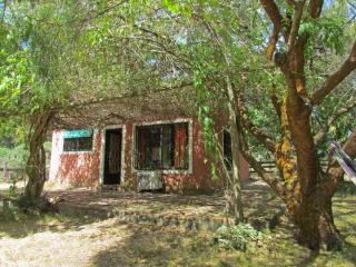 Casa Refugio en el bosque - 8