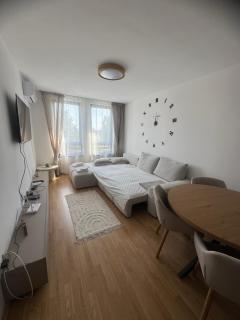 Pirin Family Apartment - 7