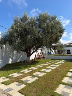 Villa Des Oliviers Rtiba - 2