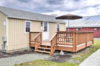 Triple Suites At Equestrian House - 1