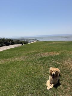 Chapala's Premier Lakefront Estate - 7