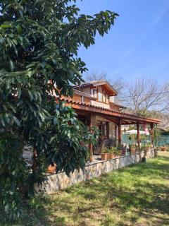 Anayurt Konağı - 0
