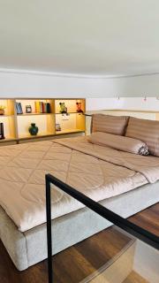 Căn studio Panoma 2 gác lửng độc đáo - 1