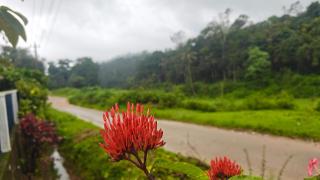 ShivaPriya Homestay - 1