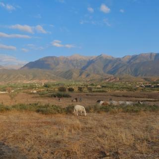 Mountain Lodge in Berber Village - 1