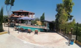 Al miral Farm - 4