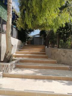 Al miral Farm - 3