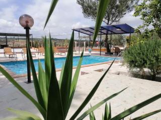 Al miral Farm - 1