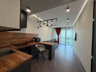 Panorama Apartment by Kievyan Bridge - 0