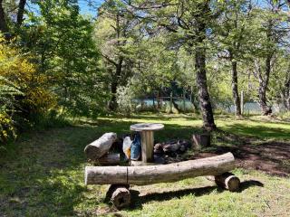 Tiny House on the Quilquihue River - 4