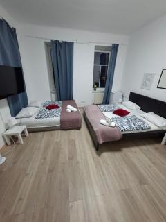 Huge 6BR Group Apartment 15 Mins to Vienna Center - 3