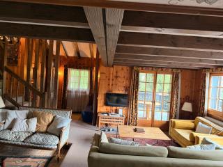 Cozy Le Lézard chalet with mountain view fireplace - 5
