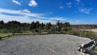 Oceana Suites Refugio Alerce - 6
