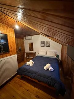 Tzoumerka Family Home - 2
