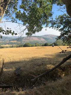 Bon yr Llew, Coity Bach - 5