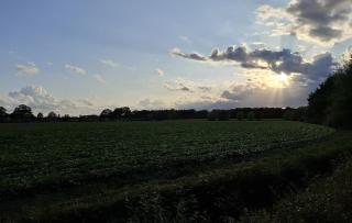 De Strijpse Hoeve, een ruime woning in de Peel - 6