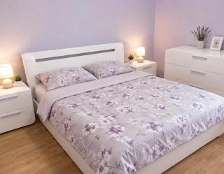 Apartman Holiday In - 7