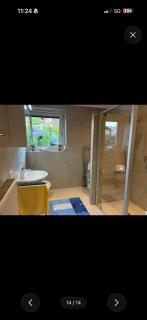 MF Hause - 3