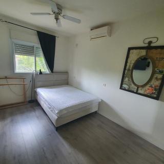 Palm Valley Villa וילת עמק הדקלים - 1