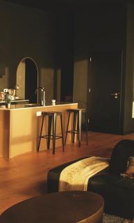 Sunset Penthouse Antwerp - 9