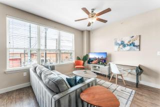 Apex Executive Apartments - E Oltorf St TX - 8